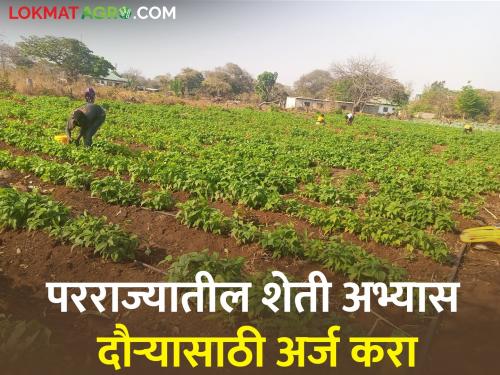 out-of-state agricultural study tour; Farmers, have you applied? | राज्याबाहेरील शेतीचा अभ्यास दौरा; शेतकऱ्यांनो, तुम्ही अर्ज केला का?