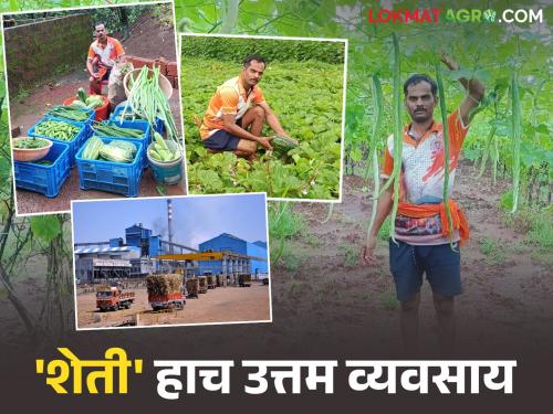 Technology is the basis of agriculture, it has brought immense success; The success story of young farmer Anil | शेतीला तंत्रज्ञानाचा आधार, त्यातून यश मिळले अपार; युवा शेतकरी अनिल यांची यशकथा