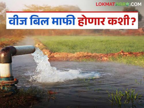 Strange management of Mahavitaran; License is for 7.5 HP but bill is for 8 HP, what is the matter? | महावितरणचा अजब कारभार; परवाना साडेसात एचपीचा बिल मात्र आठ एचपीचे, काय आहे प्रकरण?