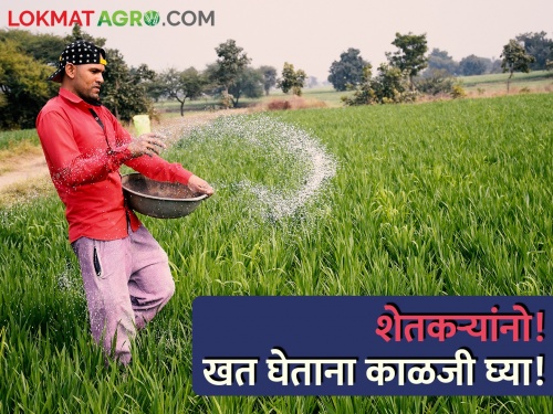 Latest News Check while buying fertilizer, appeal to farmers | शेतकऱ्यांनो! खत घेताना काळजी घ्या, खतांमध्ये वाळू सदृश्य खडे आढळले!
