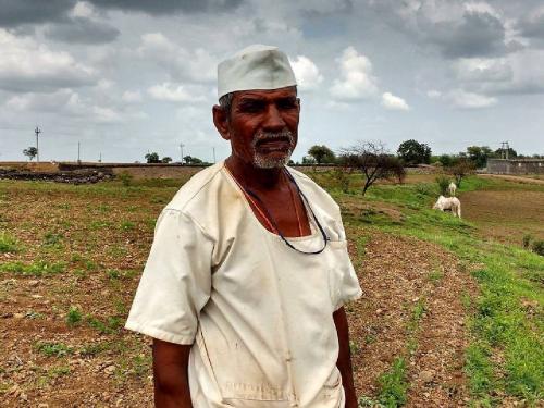 Farmers, did you know this? There are 'these' companies for crop insurance in Aurangabad division. | पीकविमा मिळवायचाय का? 'या' क्रमांकांवर करता येणार संपर्क