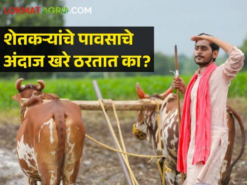 Latest News Traditional rain forecasts made by farmers are still promising see details | शेतकऱ्यांचे पावसाबाबतचे अंदाज अचूक आणि आश्वासक का ठरत असतात? जाणून नेमकं कारण