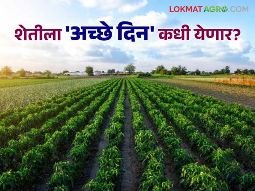 Nature's displeasure and lack of support from the government; Farmers in trouble due to unreliable agriculture | निसर्गाने अवकृपा तर शासनाची नसलेली साथ; बेभरोशी शेतीने शेतकरी संकटात