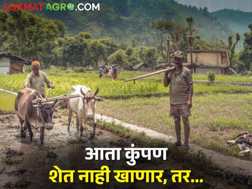 Latest News Solution to dispute over agricultural dam see details | आता कुंपण शेत नाही खाणार, तर पैसे मिळवून देणार, पण कसे?