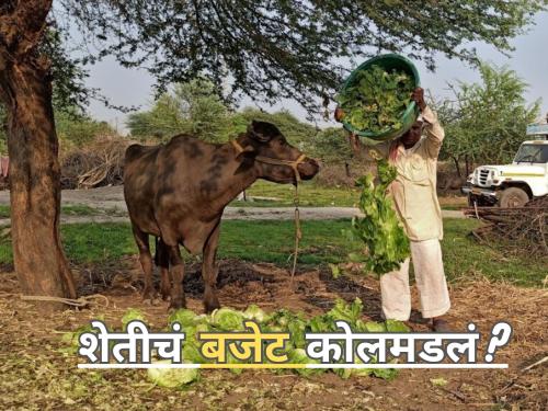Latest News No funds for agriculture in budget, mixed reaction on budget | 'सबका साथ सबका विकास', पण शेतकऱ्यांचं काय? अर्थसंकल्पाबाबत प्रतिक्रिया 