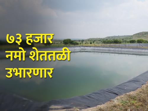 Construction of 73 thousand farms in NAMO 11-point program | नमो ११ कलमी कार्यक्रमात ७३ हजार शेततळ्यांची उभारणी