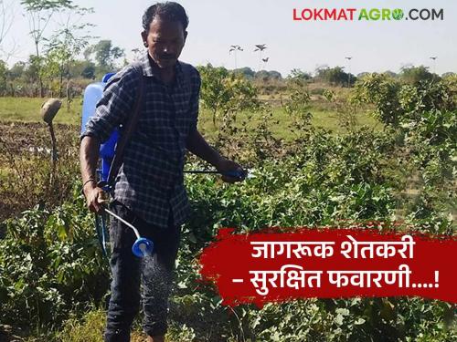 Latest News Remember these things before, during and after spraying pesticides | Kharif Season : किटकनाशके फवारण्यापूर्वी, फवारताना आणि फवारणीनंतर 'या' गोष्टी लक्षात ठेवा! 