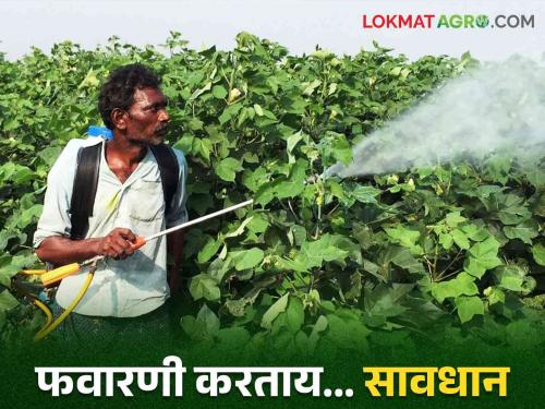 These safety rules to follow while spraying pesticides Read in detail | किटकनाशकांची फवारणी करताना पाळा हे सुरक्षेचे नियम वाचा सविस्तर