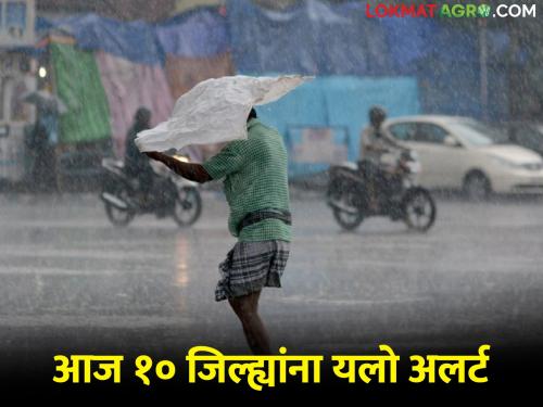 Weather department's yellow alert in 10 districts today, where is the rain, where is the heat wave? | आज १० जिल्ह्यांमध्ये हवामान विभागाचा यलो अलर्ट, कुठे पाऊस कुठे उष्णतेची लाट?