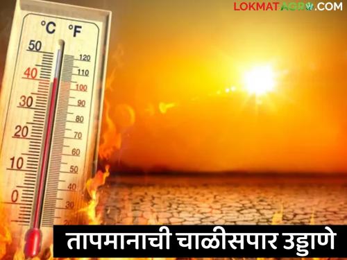 The temperature soars above forty, how is the temperature mercury today? | तापमानाची चाळीसपार उड्डाणे, नागरिकांना उष्णतेचा दाह सोसवेना