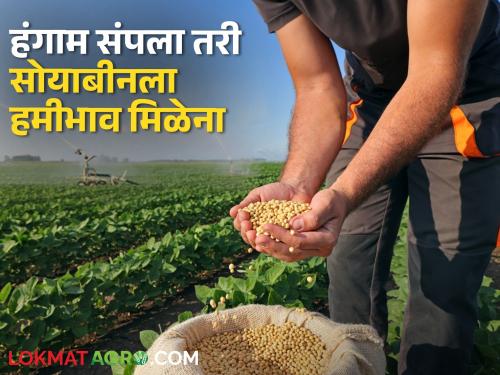 Even if the season is over, soybeans do not get a guaranteed price! How much did you get today? | Soybean Rates : हंगाम संपला तरी सोयाबीनला हमीभाव मिळेना! आज किती मिळाला दर?