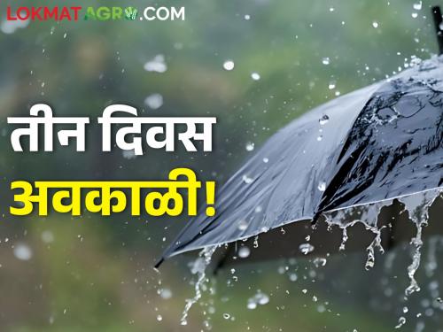 Chance of unseasonal rain for the next three days, what is the forecast of the Meteorological Department? | पुढील तीन दिवस अवकाळी पावसाची शक्यता, काय आहे हवामान खात्याचा अंदाज?