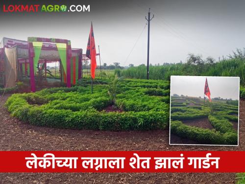 A Different marriage Function arranged on farm with greenery by farmer for his daughter | काय ते गार्डन, काय तो मंडप; शेतकरी जावई असलेल्या लेकीच्या लग्नाला शेतात हिरवळ