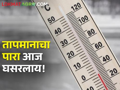 Minimum and maximum temperature in the state has dropped, from tomorrow... | राज्यात किमान व कमाल तापमानाचा पारा घसरला, उद्यापासून...