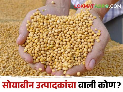 How to take seeds, fertilizers; As the price of soybeans falls | बी-बियाणे, खते घ्यावी तरी कशी; सोयाबीनचे भाव पडतेच