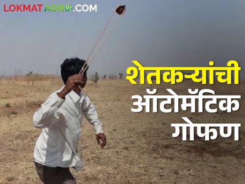 Now this Jugad will secure the crops | आता पिकांची राखण करणार हा जुगाड