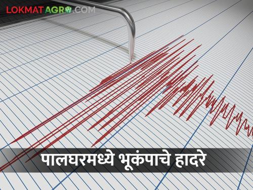 Earthquake tremors in Talasari Dahanu taluk in Palghar, panic among citizens | पालघरमधील तलासरी,डहाणू तालुक्यात भूकंपाचे हादरे, नागरिकांमध्ये घबराट