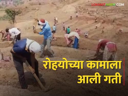 Rohyo's work gained momentum; Employment for the unemployed | रोहयोच्या कामाला आली गती; बेरोजगारांच्या हाताला रोजगार