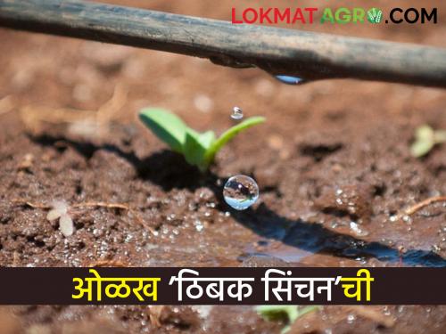 Information about drip irrigation that has not been read before! | ठिबक सिंचनची अशी माहिती जी या आधी नसेल वाचलेली!