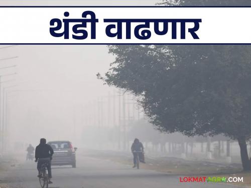 Maharashtra Weather Update : Impact of cold wind in North India; cold will increase in the state | Maharashtra Weather Update : उत्तर भारतातील थंड वाऱ्याचा परिणाम; राज्यात गारठा वाढणार