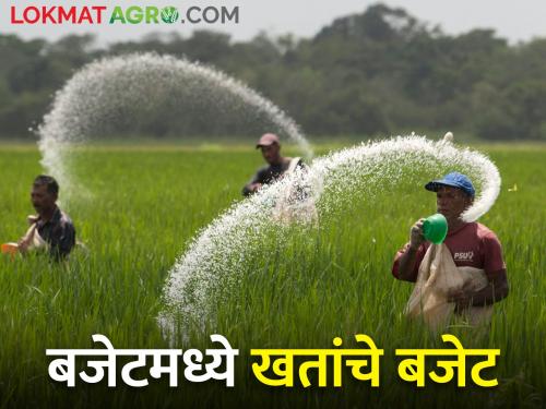 4 lakh crore rupees may be available in the budget for fertilizer subsidy | बजेटमध्ये खतांच्या अनुदानासाठी उपलब्ध होऊ शकतात ४ लाख कोटी रुपये