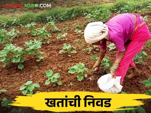 How to choose fertilizers for Kharif crops? | खरीपातील पिकांसाठी खतांची निवड कशी करावी?