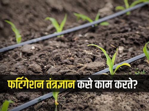 Beneficial Fertigation Technology for Use of Soluble Fertilizers | विद्राव्य खतांच्या वापरासाठी फायदेशीर फर्टिगेशन तंत्रज्ञान