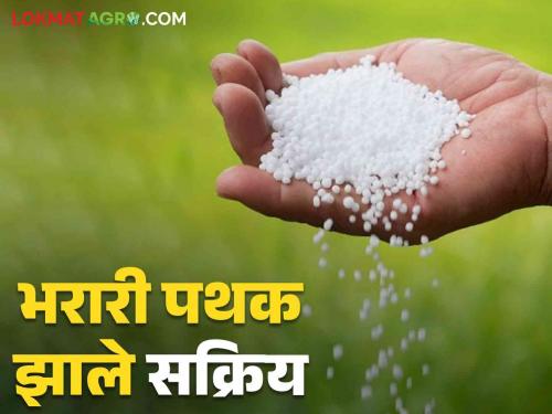 Fertilizer Issue : Sudden Inspection of Agricultural Input Centers of Fertilizer | fertilizer Issue : कृषी निविष्ठा केंद्रांची अचानक तपासणी; हिंगोलीत तिघांना बजावल्या नोटिसा