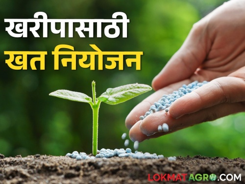 Latest News One lakh metric tonnes of fertilizers will be available for Kharif in dhule district | खरीपासाठी एक लाख मेट्रिक टन खते मिळणार, धुळे कृषी विभागाची माहिती