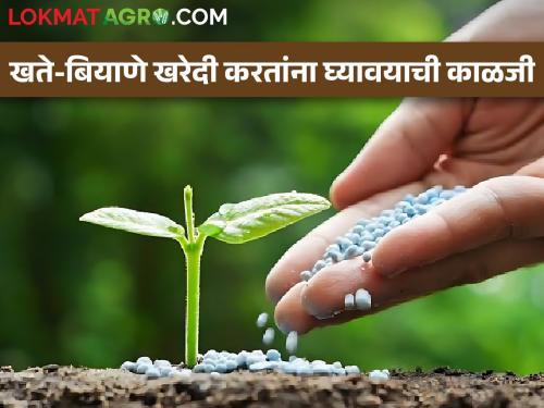 Care to be taken while buying Fertilizer Seeds, Appeal of Agriculture Department | खते बियाणे खरेदी करतांना घ्यावयाची काळजी, कृषी विभागाचे आवाहन
