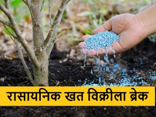 Latest News Chemical fertilizer sales break due to conduct of Lok Sabha elections | ....म्हणून रासायनिक खतांच्या गोणी विक्रीला लागला ब्रेक, नेमकं कारण काय? 