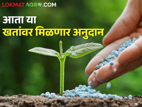 Good news for farmers; Subsidy will be given on three new fertilizers for the upcoming harvest | शेतकऱ्यांना दिलासादायक बातमी; येणाऱ्या खरिपासाठी तीन नवीन खतांवर मिळणार अनुदान