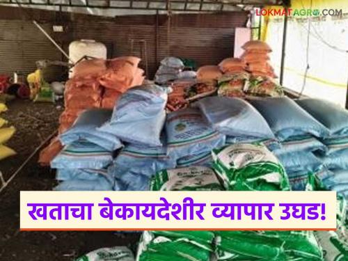 latest news Agriculture News: Fake stock Fertilizer from poultry shed; Read details of Agriculture Department's surgical strike | Agriculture News: पोल्ट्री शेडमधून बनावट साठा जप्त; कृषी विभागाचा सर्जिकल स्ट्राइक वाचा सविस्तर