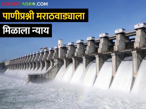 Relief to Marathwada; Supreme Court gives stamp on equitable water allocation policy | मराठवाड्याला दिलासा; समन्यायी पाणी वाटप धोरणावर सर्वोच्च न्यायालयाचे शिक्कामोर्तब