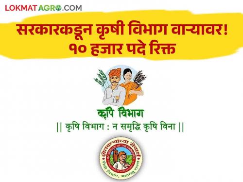 Agriculture Department state government 58 percent of the posts in Commissionerate are vacant | सरकारकडून कृषी खाते वाऱ्यावर! कृषी आयुक्तालयातील ५८ टक्के पदे रिक्त; १० हजार जागा भरल्याच नाहीत