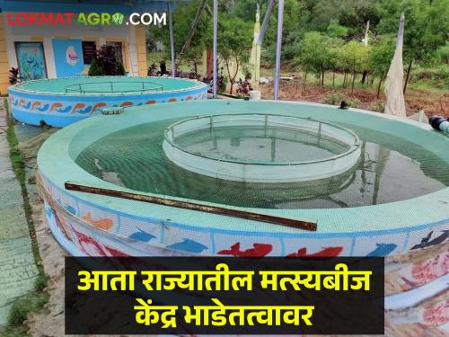 Latest News Government fish seed center in state on lease new gr by maharashtra | राज्यातील शासकीय मत्स्यबीज केंद्र भाडेतत्वावर, निधीतून उर्वरित केंद्राचे आधुनिकीकरण 