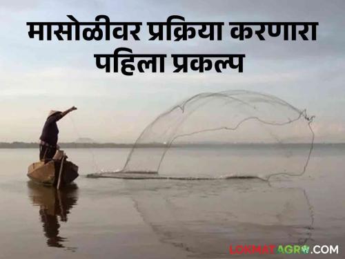 Latest news fish farming Primary processing on fresh water fish, first project in Gondia district  | Fish Processing : गोड्या पाण्यातील माशांवर प्राथमिक प्रक्रिया, गोंदिया जिल्ह्यातील पहिला प्रकल्प