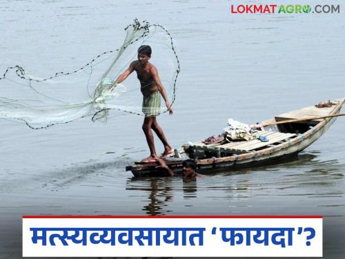 latest news Fish Farming: Production in the fishing industry has increased; Read in detail how the free policy is having an impact | Fish Farming : मत्स्य व्यवसायात उत्पादन वाढले; विनाशुल्क धोरणाचा कसा होतोय परिणाम वाचा सविस्तर