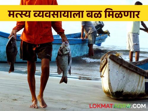 Fishery: Fishing business will get the status of fish farming | Fishery: मत्स्य व्यवसायाला मत्स्य शेतीचा दर्जा मिळणार