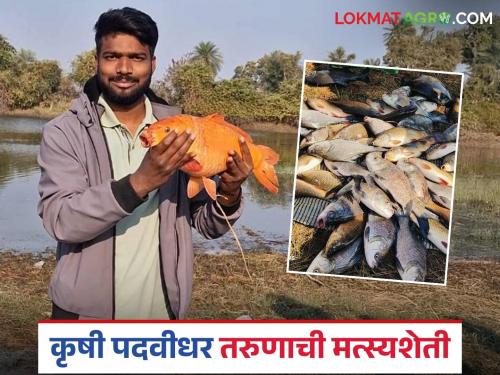 Latest News Studied agriculture, never worked, now earning lakhs in profit from fish farming | Youth Fish Farming : कृषीचं शिक्षण घेतलं, नोकरी केली नाही, आता मत्स्यपालनातून कमवतोय लाखोंचा नफा 