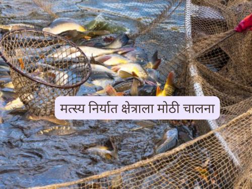 Latest news Fish Farming Big boost to India's fish export sector, European Union's decision | भारताच्या मत्स्य निर्यात क्षेत्राला मोठी चालना, युरोपीय महासंघाचा महत्वपूर्ण निर्णय 