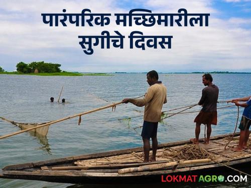 Traditional Fishing; Now traditional fishing will start along the bay | Traditional Fishing आता खाडीकिनारी पारंपरिक मच्छिमारी सुरू होणार