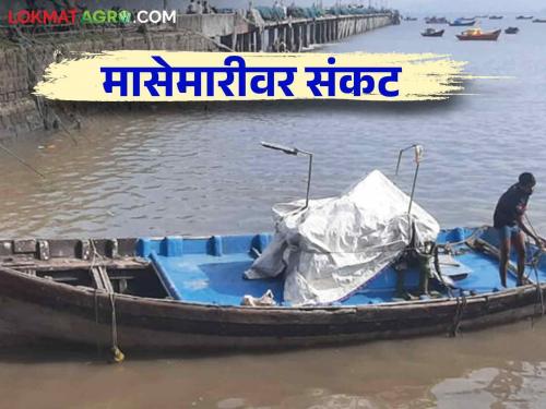 Fishery in Konkan: Konkan fishing business in lot of crisis last three four years | Fishery in Konkan: कोकणातील मासेमारी अडकली संकटांच्या जाळ्यात