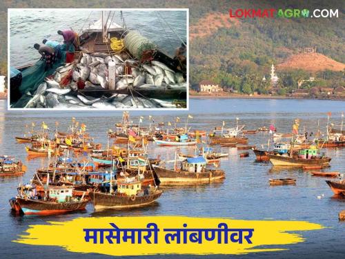 There is a break for deep sea fishing starting today in Maharashtra | Deep Sea Fishing Break: आजपासून सुरू होणाऱ्या समुद्रातील मासेमारीला लागला ब्रेक