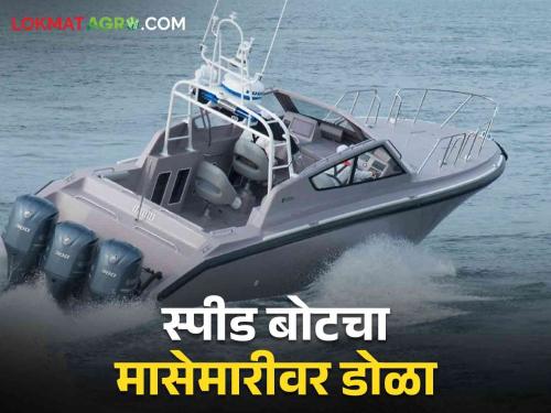 Fisheries department will have five speed boats to catch illegal fishing | मत्स्य विभागाला पाच स्पीड बोट, अनधिकृत मासेमारीला बसणार चाप