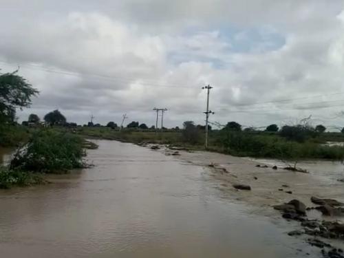 Heavy rain in Maharashtra; red alert for mumbai; marathwada still depict of rain | कोकणात नद्यांना पूर; विदर्भात पुन्हा अतिवृष्टी, मराठवाडा कोरडाच