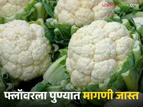 Cauliflower Market: | Cauliflower Market : फ्लॉवरला सातारा बाजार मागणी