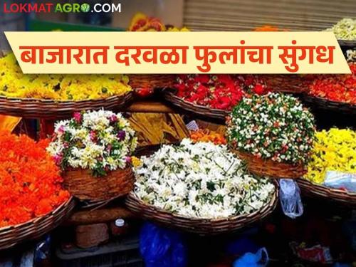 Floral Market : Rose, Shewanti, Nisigandh, Mogra are in demand in the market  | Floral Market : गुलाब, शेवंती, निशिगंध, मोगराला बाजारात मागणी 