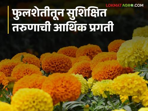 Farmer Success Story : Financial progress of Ananta Rao from Devgaon, Marathwada through flower farming | Farmer Success Story : मराठवाड्याच्या देवगाव येथील अनंतारावांची फुलशेतीतून आर्थिक प्रगती