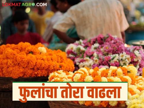 Flower Market: The flower market is booming during the wedding season; Read in detail how to get the best price | Flower Market: ऐन लग्नसराईत फुल बाजार तेजीत; कसा मिळतोय दर ते वाचा सविस्तर